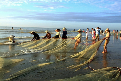 Kiện toàn Ban chỉ đạo điều tra tài nguyên - môi trường biển 